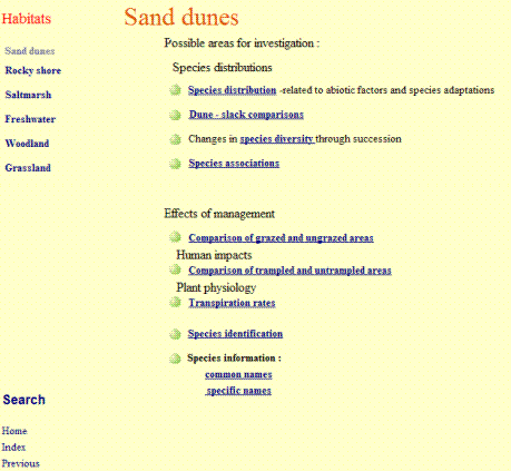duneopen.gif (15970 bytes)