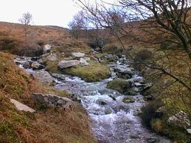 exmoorconfluence.jpg (18352 bytes)