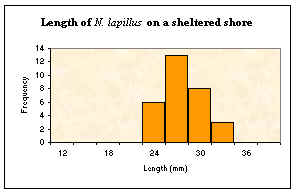 nuclenshelt.bmp (173994 bytes)