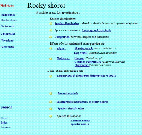 rockyopen.gif (19966 bytes)
