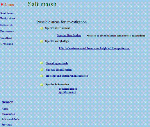 saltopen.gif (18131 bytes)