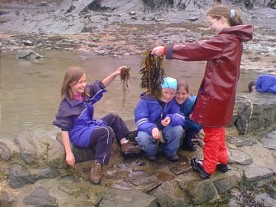 tasisrockpoolhart.jpg (25843 bytes)