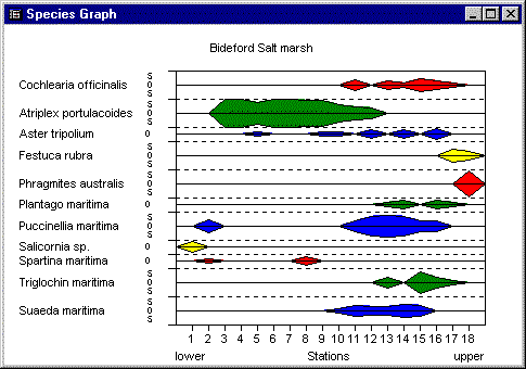 transect.gif (10019 bytes)