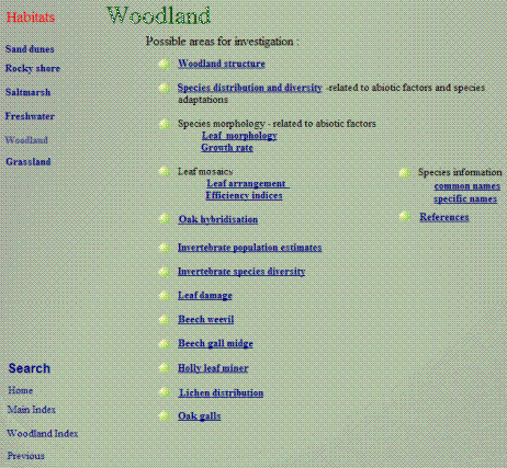 woodopen.gif (24827 bytes)