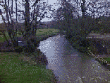 yeo1g.gif (7958 bytes)